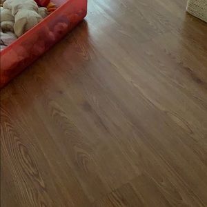 Meet your Posher, Nicholas